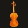 Violin – Snow Simona