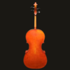 Cello – Frederich Wyss