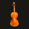 Violin – Stefan Petrov Workshop
