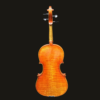 Viola – Lombardi