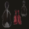 Cello Case – Bobelock Fiberglass