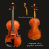 Violin – Frederich Wyss