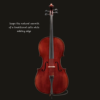 Cello – Jean-Pierre Lupot Series +