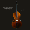 Bass – Shen SB180