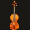 Violin – Snow Simona
