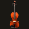 Viola – Frederich Wyss