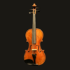 Violin – Stefan Petrov Workshop