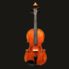 Viola – Lombardi