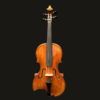 Viola – Stefan Petrov Standard