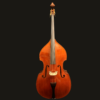 Bass – Shen SB200F  Flatback