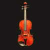Violin – Jean-Pierre Lupot