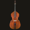 Bass – Shen SB 150