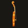 Violin – Snow Simona
