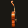 Cello – Pietro Lombardi