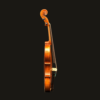 Violin – Stefan Petrov Workshop