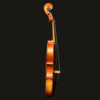 Viola – Lombardi