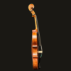 Viola – Stefan Petrov Standard