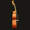 Bass – Shen SB200F  Flatback