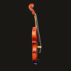 Violin – Jean-Pierre Lupot