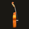 Bass – Core