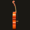 Cello – Frederich Wyss