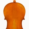 Cello – Pietro Lombardi