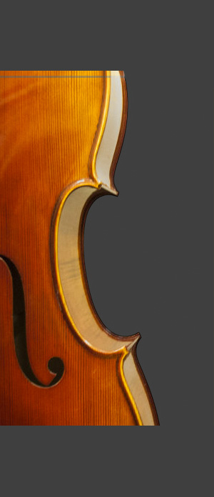 bg-cellos