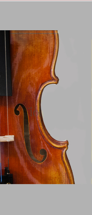 bg-violin