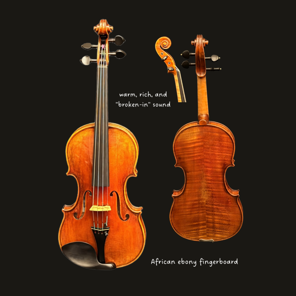 Viola - Wilhelm Klier