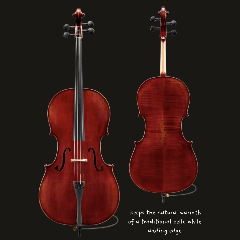 Cello - Jean-Pierre Lupot Series +