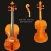 Violin – Snow Simona