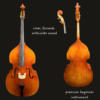 Bass – Core