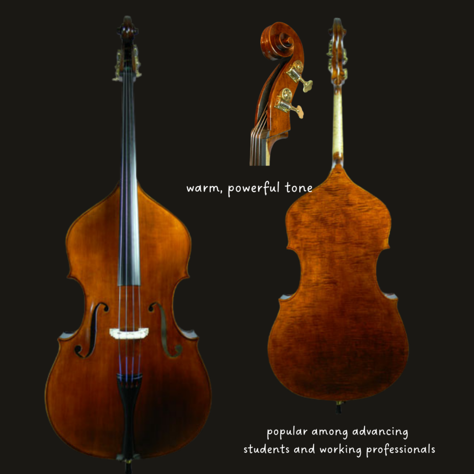 Bass - Shen SB180