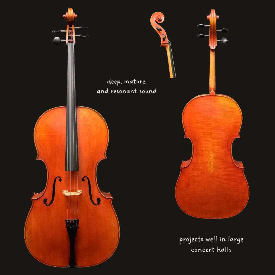 Cello - Frederich Wyss