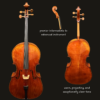 Cello – Pietro Lombardi