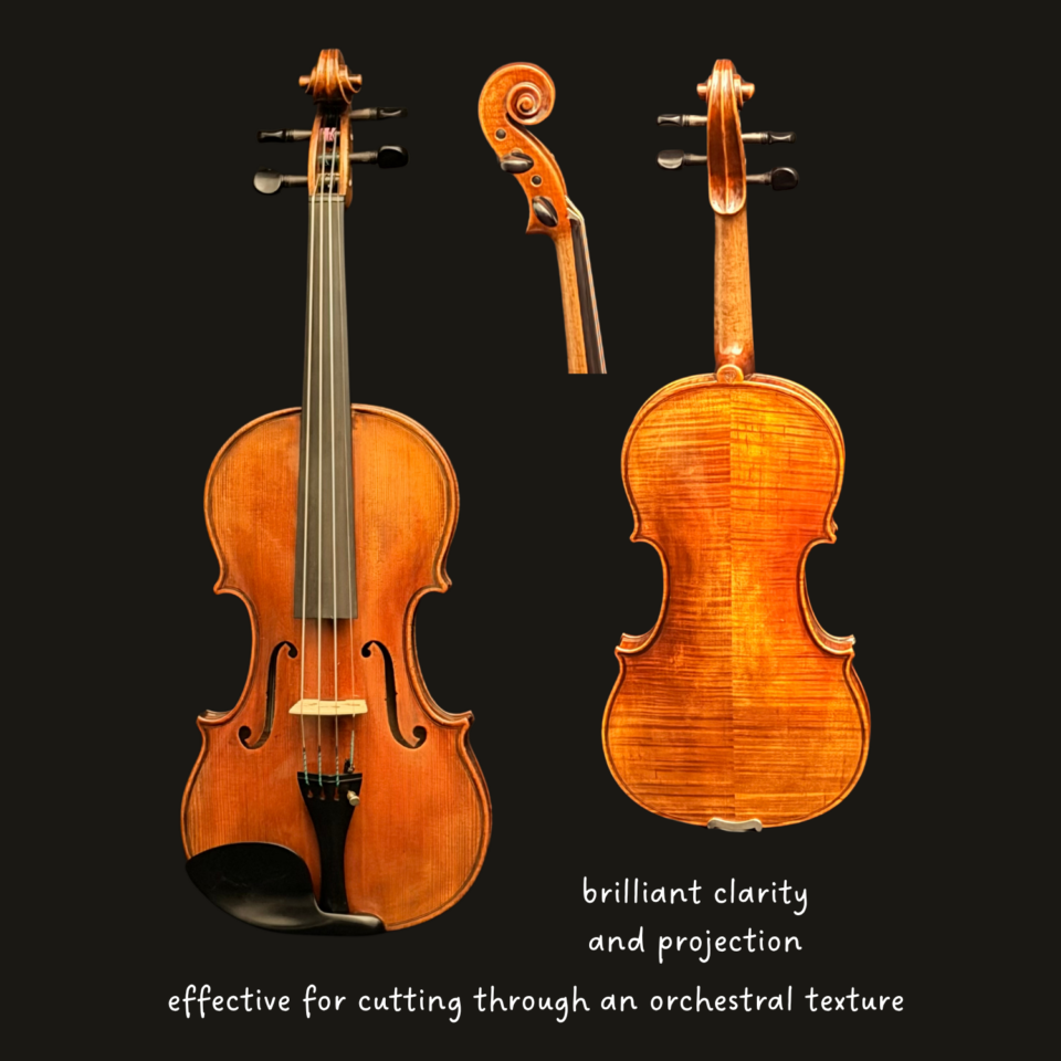 Violin - Stefan Petrov Workshop