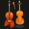 Viola – Lombardi