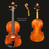 Viola – Rudoulf Doetsch