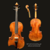 Viola – Stefan Petrov Standard
