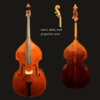 Bass – Shen SB200F  Flatback