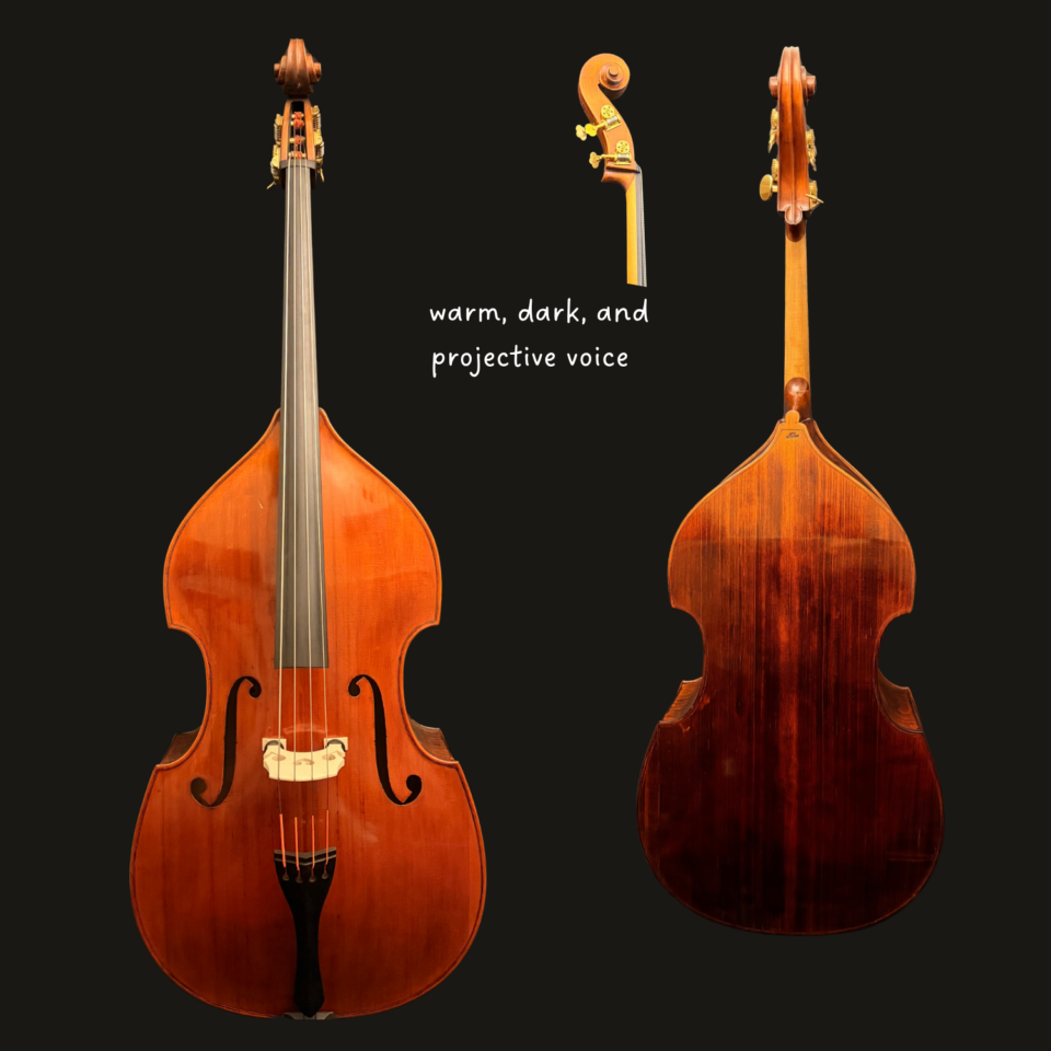 Bass - Shen SB200F  Flatback