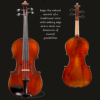 Violin – Rudoulf Doetsch