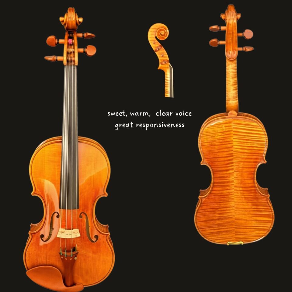 Violin - Snow Simona