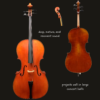Cello – Rudoulf Doetsch 7/8