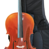 Nicholas Parola Cello Outfit