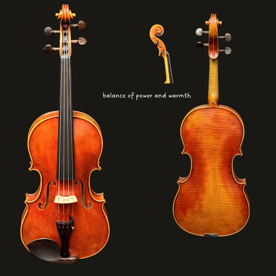 Viola - Sofia Master Art - 15.5"