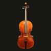 Cello – Nicolas Parola 7/8