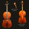 Cello – Nicolas Parola 7/8