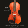 Violin – Aubert Vuillaume