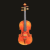 Violin – Jonathan Li